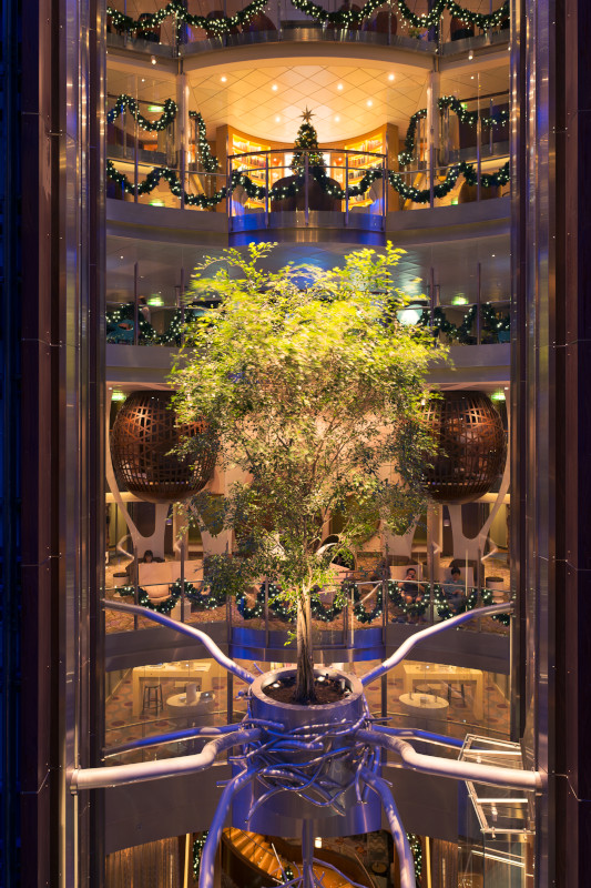 Centrum, tree, holidays, lobby,