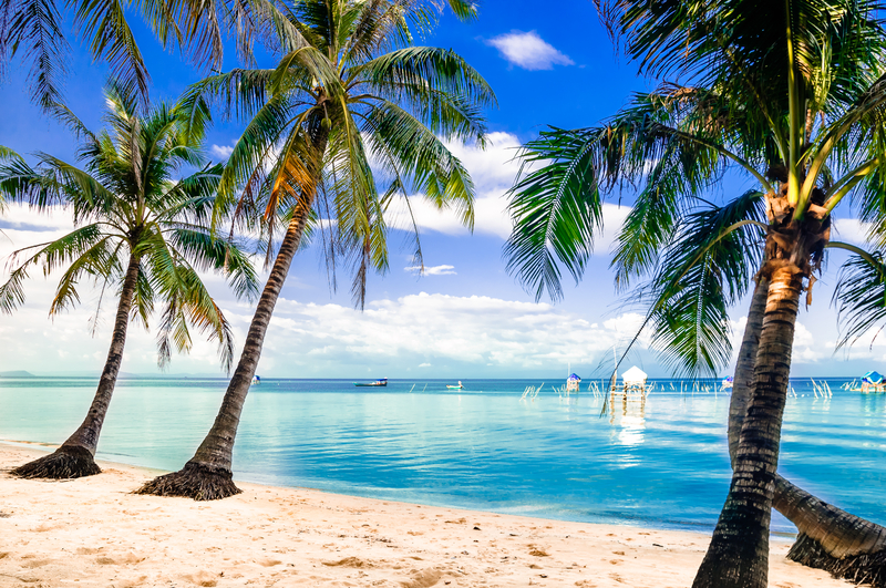 Winter 2026-2027 Long Stays: 13 to 21 Nights in the Sun
