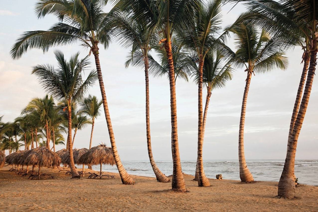 Finest Punta Cana